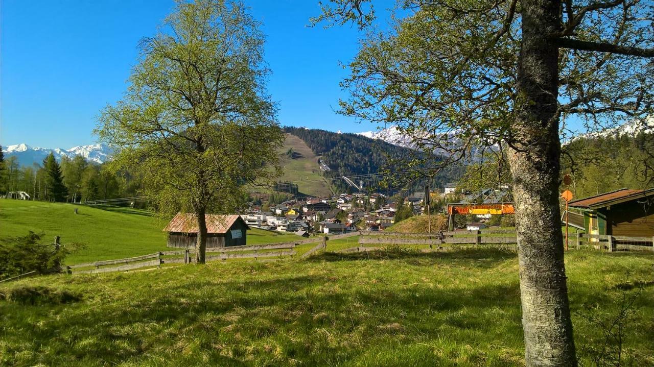 Haus Elisengrund Am Geigenbuehel - Chalet Prive 제펠드 인 티롤 외부 사진