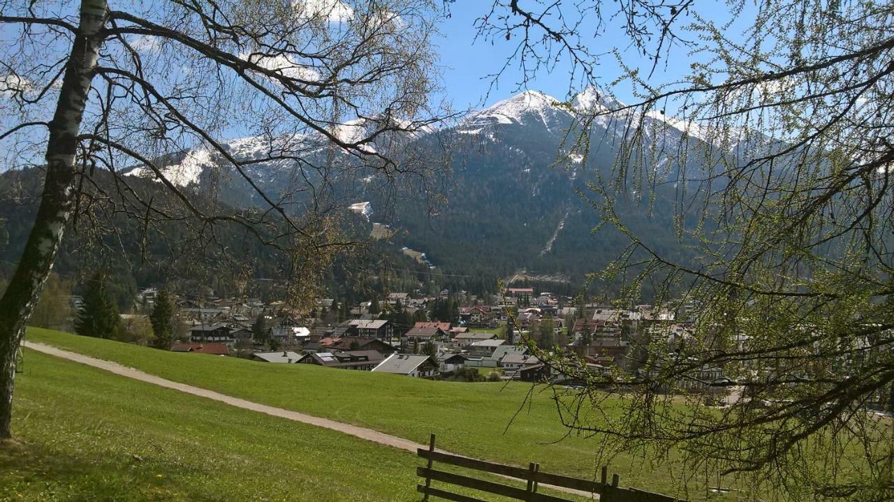 Haus Elisengrund Am Geigenbuehel - Chalet Prive 제펠드 인 티롤 외부 사진